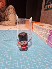 Minion-sotilas