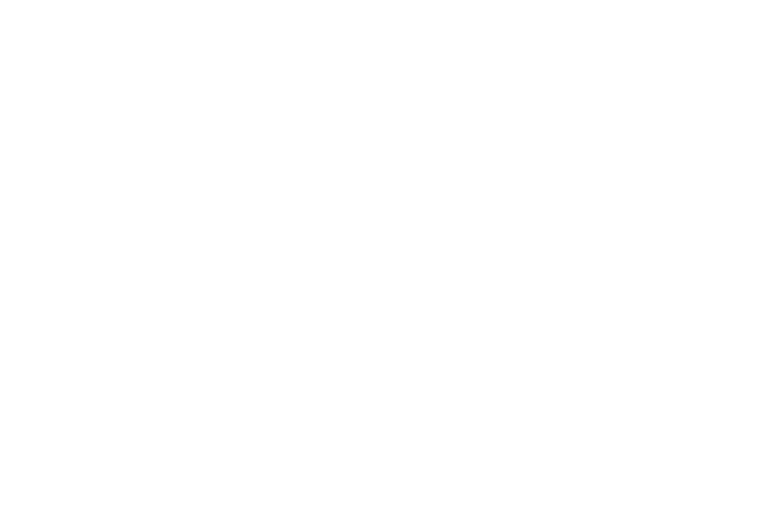 Kulttuuriaitta